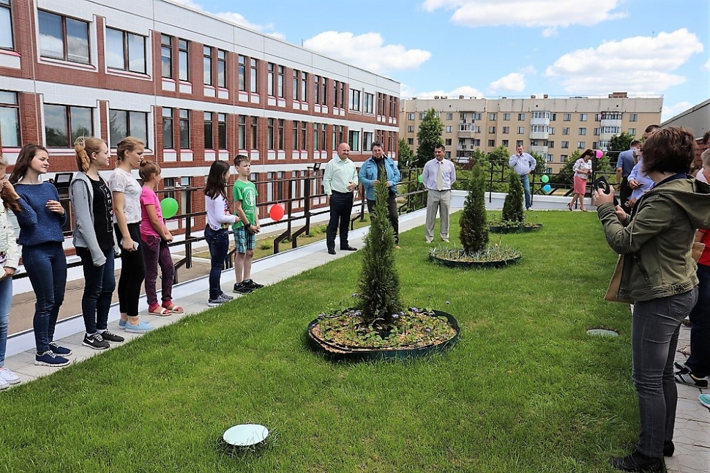 Green roof_2.jpg
