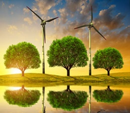 Green Economy, Environment and Sustainable development