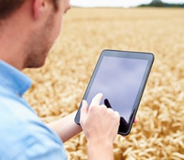 Regional development